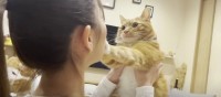 猫ちゃんへの愛が止まらない！“チュウ”に対する反応の違い