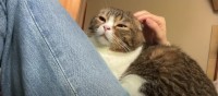 ママさんとふたりだけの時間を大切にする猫くん！