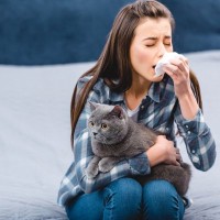 自分が『猫アレルギー』になったら…気になる5つの症状　一緒に暮らし続けてはダメ？