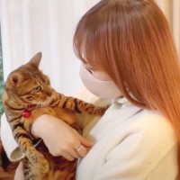 猫が『５日ぶりに帰宅したママ』に見せた反応…愛おしすぎる光景が80万再生の大反響「寂しかったんだね」「癒やしをありがとう」の声