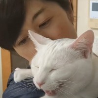 『マザコンな猫』の日常撮ってみたら…大好きなママとのラブラブすぎるやり取りが68万3000再生「音だけでわかるなんてｗ」「素敵」