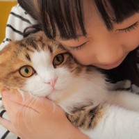 猫を娘のあとに『パパが抱っこしてみた』結果…凄まじい表情の変化が面白すぎると20万3000再生の大反響「目力ｗ」「パパ笑」爆笑の嵐