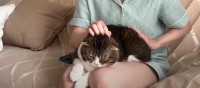 「ママさんが元気になった！」甘える親子猫