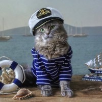 タイタニック号とともに沈没し、子猫とともに犠牲になった「船員猫」がいた