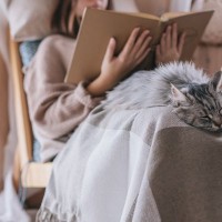 猫があなたに『お尻を向けて寝る』かわいい理由3つ　プイッと背を向けられたら自信を持って！