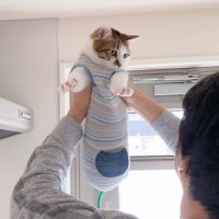 『パパだいすきな保護猫』が朝に見せた行動…想像以上の『猛アピール』が尊すぎると74万再生「マタタビの香りでてる」「羨ましい」