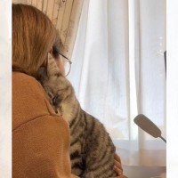 人間不信だった保護猫…愛にあふれた『驚きの変化』が尊すぎると802万再生の大反響「なんてうらやましい」「愛が詰まってる」の声