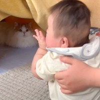 猫は初めてみた赤ちゃんが『泣き出したら』どうする？…人見知り全開の行動が可愛すぎると反響続々「最高に笑った」「フェードアウト」