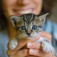 8月8日は『世界猫の日』！この記念日の由来と、おすすめの過ごし方4選