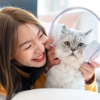 猫も『音楽』が好き？4つの豆知識　猫が特に気に入る音楽のジャンルは？