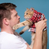 猫には絶対伝わらない『タブーなしつけ方』4選　恐怖や不快感を植え付けるだけの危険行為に