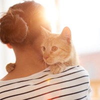 猫が『亡くなる間際』に伝えたいこととは？飼い主さんに残したい4つのメッセージ