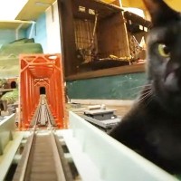 電車に乗っていたら『巨大猫』に襲われて…『夢みたいな疑似体験』が出来るジオラマ食堂が話題「攻撃が速過ぎッｗ」「これなら遅れてもいい…」