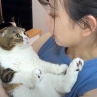 親子猫とママが4日ぶりに『再会』した結果…愛が伝わる『尊すぎる行動』に感動「もらい泣きしそうに」「表情が目に染みた」と20万再生