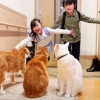 猫が『5日ぶりに帰宅した子供』と再会したら…感動的すぎる『おかえり』の様子が7万8000再生「家族っていいね」「きゅんきゅんした」