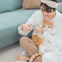 億劫な『猫の爪切り』サボると危険な3つの理由　無理をしない爪ケアのアイデアも