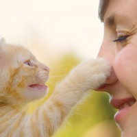 愛猫が前足で『チョイチョイする』ときの理由4選　確認、呼びかけ…実はさまざまな意味が！