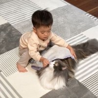 幼い息子が『大きな猫』に見せた優しい行動…素敵なやり取りの様子が尊すぎると5万6000再生「ほのぼの～」「なんと微笑ましい」の声