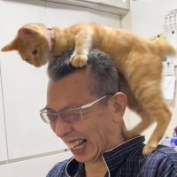 猫がお父さんの『頭のテッペン』目指した結果…面白すぎるやり取りの様子が326万再生「猫リンピック金メダル」「登頂ｗｗ」の声