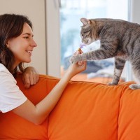 『人間大好き♡な猫』によく見られる4つの行動　人懐っこい子に育てるポイントも