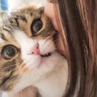 ママが『猫吸い』しまくった結果…魂が抜けてしまう様子が面白すぎると45万再生「露骨に嫌な顔するの草」「ドン引きでワロタ」爆笑の嵐