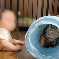 猫が赤ちゃんに寛大すぎた結果…驚きの『無防備な姿』が微笑ましすぎると2万7000再生「優しさ全開で感動」「本当に賢い」