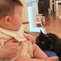 猫が『成長した赤ちゃん』と再会した結果…幸せあふれる光景が微笑ましすぎると反響続々「思わず笑顔に」「天使」と3万4000再生