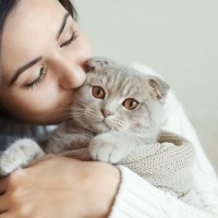 『猫が好きな人』によく見られる5つの傾向　インドア派、クール…あなたは当てはまる？