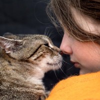 猫は『飼い主さんと他人の区別』がちゃんとできる！判別している3つのポイント