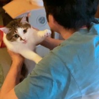 猫がパパに抱っこされたら…『ムキムキの腕』でしがみつく様子が愛おしすぎると66万再生「ヤッタヨーが可愛すぎ」「赤ちゃんだねｗ」