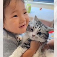 赤ちゃんに抱きしめられた猫…『愛にあふれた光景』が尊すぎると184万再生「尊すぎて気絶」「猫吸いを覚えるなんて」の声