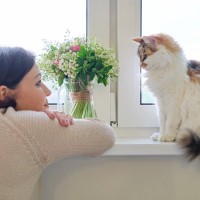 猫があなたを『子猫扱いしている』と思しき行動5選　愛猫に“仲間認定”されている証？