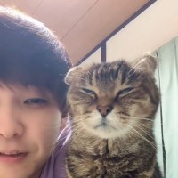 眠いのになぜか横にならない猫…『電車でウトウトする人』すぎる姿に"爆笑"243万再生「サラリーマンｗ」「授業中の自分で草」の声