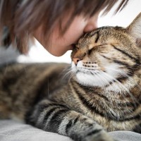 猫はなぜ『かわいい』？猫が人々を魅了する5つのポイント　赤ちゃんとの共通点が！