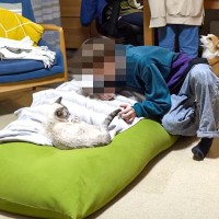 猫と『浮気している長男』を見てしまった犬…強烈に反応する姿が面白すぎると39万1000再生「愛が半端ないｗ」「激しすぎｗ」