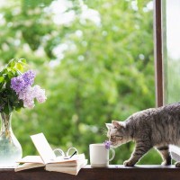 猫には毒になる『危険な“秋の花・植物”』4選　誤飲が命取りに…