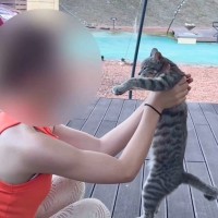 旅行先にいた『クレームの絶えない野良猫』を保護…幸せを掴むまでの話が感動的すぎると186万再生「涙が止まらない」「素晴らしい」