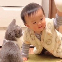 お互い0歳だった猫と赤ちゃん…成長した『2人の姿』が微笑ましすぎると88万再生「可愛すぎて声でた」「心の底から癒し」