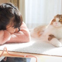 疲れ切って早退してきた娘に猫がとった行動…思わず涙してしまう『心温まる瞬間』が42万6000再生「泣いてしまった」「最高の治療薬」