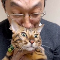 猫が実家のお父さんから『熱烈な歓迎』を受けた結果…思わず爆笑の反応が17万3000再生「温度差がｗ」「可愛すぎるｗｗ」の声