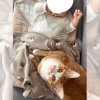 『赤ちゃんのねんね写真集』を作ったら…『猫のベビーシッター』が尊すぎると36万回再生「微笑ましい…」「好き好きオーラ全開」の声