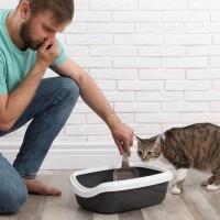 猫の『ウンチが臭くなった』と感じたら…考えられる5つの原因　改善するための方法も