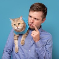 猫が『目をそらす』ときの3つの理由　実はポジティブな意味が秘められていた？