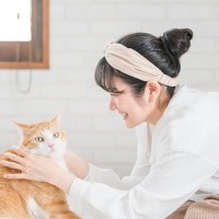 猫にとって居心地がいい『適度な距離感』とは？猫のパーソナルスペースにまつわる3つのお話