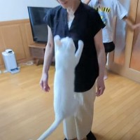 猫が大好きなママと再会した結果…尊すぎる『まさかの光景』が20万6000再生「愛が溢れてる」「自分のお母さんだと思ってるね」