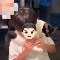 お兄ちゃんの邪魔をしてマフラーにされた猫…まさかの『ちょっかい』が面白すぎると383万再生「猫ハラｗ」「マフラーで笑った」