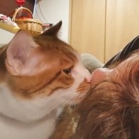 『いい加減起きてニャ』毎朝起こしてくれる子猫…まさかの行動をとる姿に悶絶する人続出「なんて羨ましい朝」「起こして貰いたい」