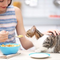 猫に「オレのご飯か！？」と勘違いされがちな人間の食べ物3選　食べるときはこっそりと…