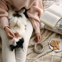 猫が『膝に乗りたくなる』のはどんなとき？4つの心理と、乗ってもらうためのアドバイス