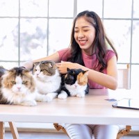 愛猫を『粘着体質』にしてしまう3つの原因　飼い主さんが無意識でやっているNG行為とは